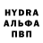ГАШ гашик Enot Enotav