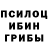 Галлюциногенные грибы мицелий UP2 NOGUD
