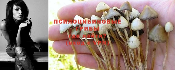 эйфоретик Лиски